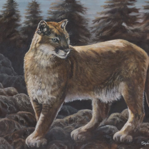 "Mountain Monarch"   Original oil painting available.