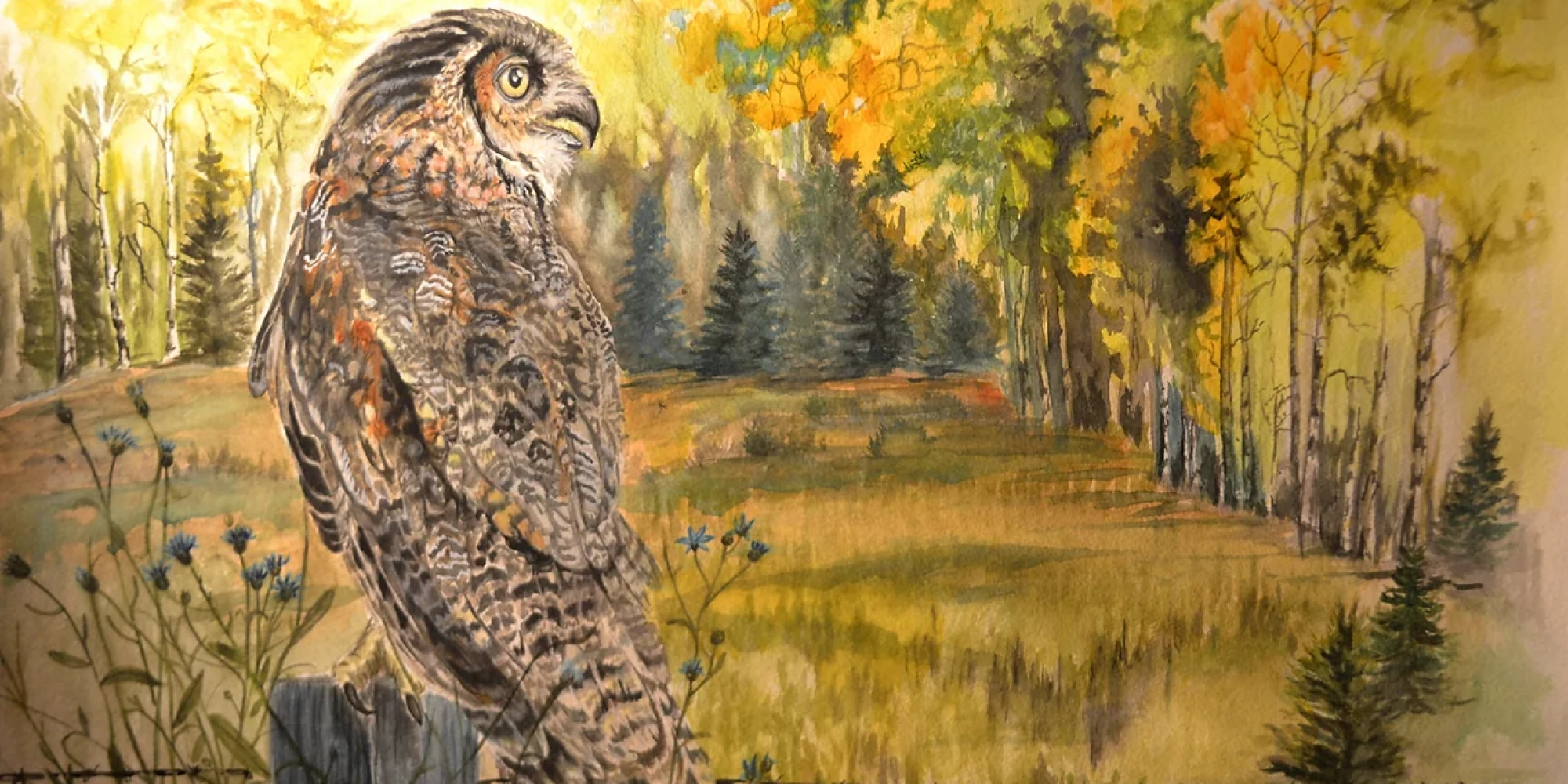 King of the Meadow" 
Great Horned owl overlooking a meadow in aspen trees. 9x12 prints avalilable.