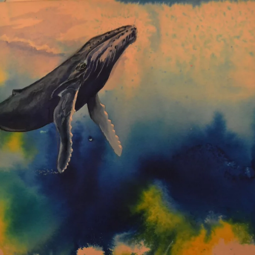 "Rising Giant"
Humpback whales are inspiring and majestic as they play and feed. Prints available in 9x12.