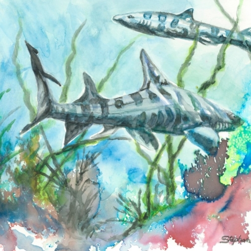 "Leopards of the Deep"9x12 watercolor. Original available. 180.00
 I photographed these Leopards sharks at the Monterey aquarium in California. I was quite enthralled watching their smooth movements as they posed for my pictures.