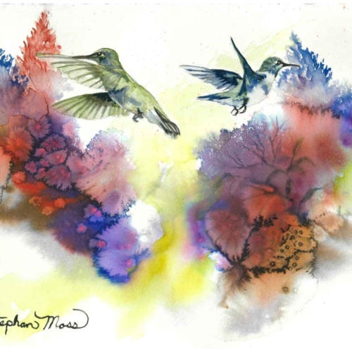 "Colorful Duet"
9x12 prints available of this busy pair of hummingbirds.