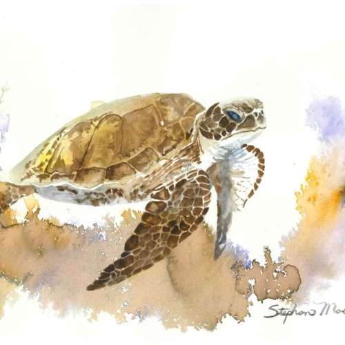 "Honu" Hawaiian name for sea turtle.
   9x12 prints available.