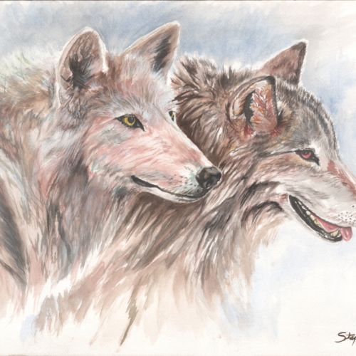 "Wolf Siblings" 
24x30 framed original available.480.00
 Prints also available in 9x12 and larger by request.